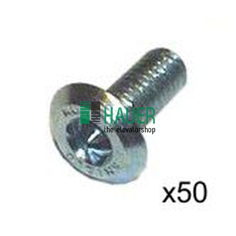 Shield Schraube M4*10  Set = 50 Stück