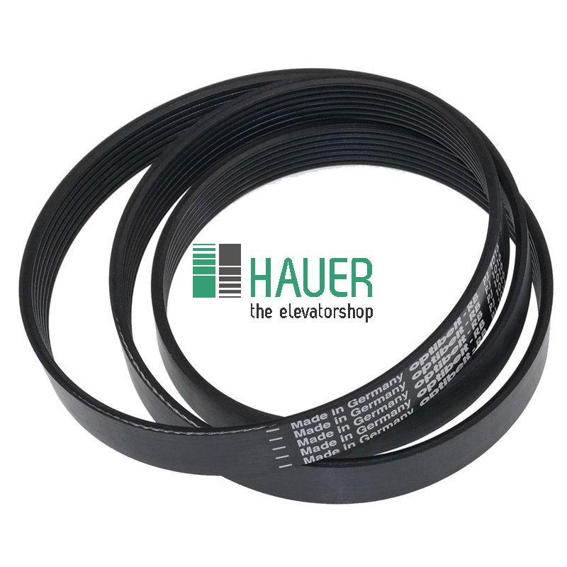 Belt for door drive ADF, L1010, profile PJ3.5x2.34