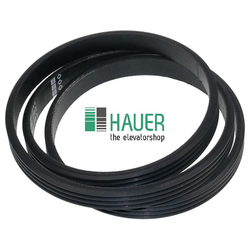 Belt for Motor DCA1