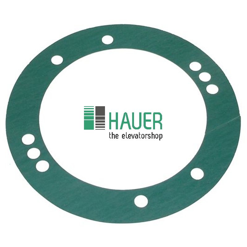 Gasket for gear 19BT