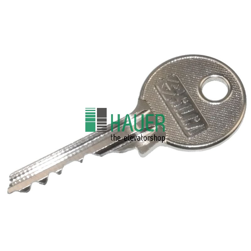 Schlüssel für 1020025