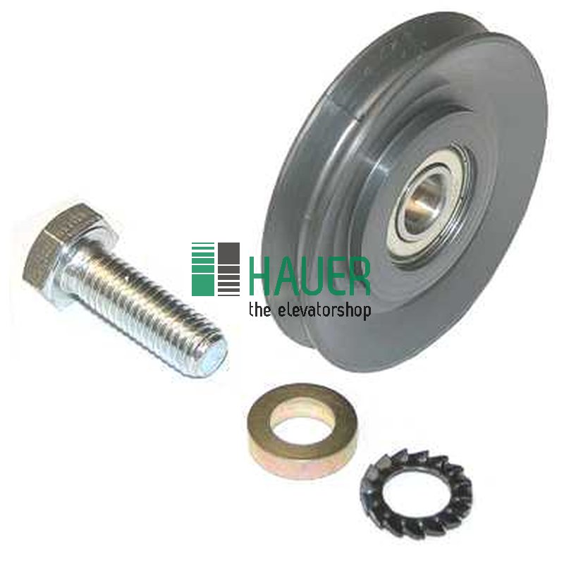 Door rope pulley D62