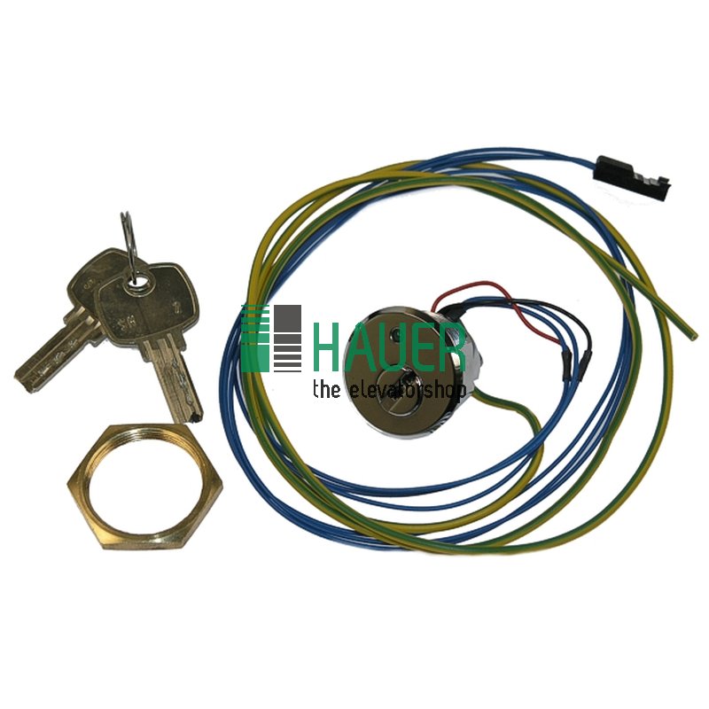 Contact de cle vert LED, SH2, 24V, chrome