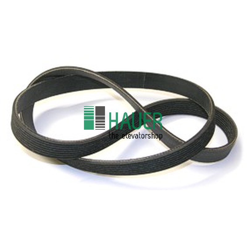 Belt 8PJ1054