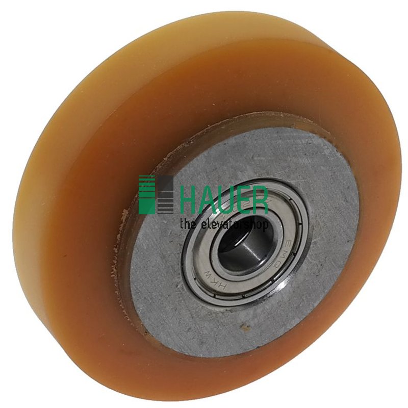 Guide roller guide GR3-1, Guide roller D100/15*30/25 (2*6203ZZ)
