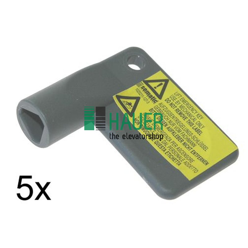Sematic 2000, Schlüssel für Notentriegelung L=50mm, Set von 5 Stück