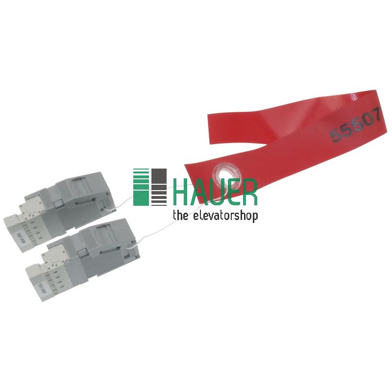 Bremsteststecker Bionic 5, ab Release 4