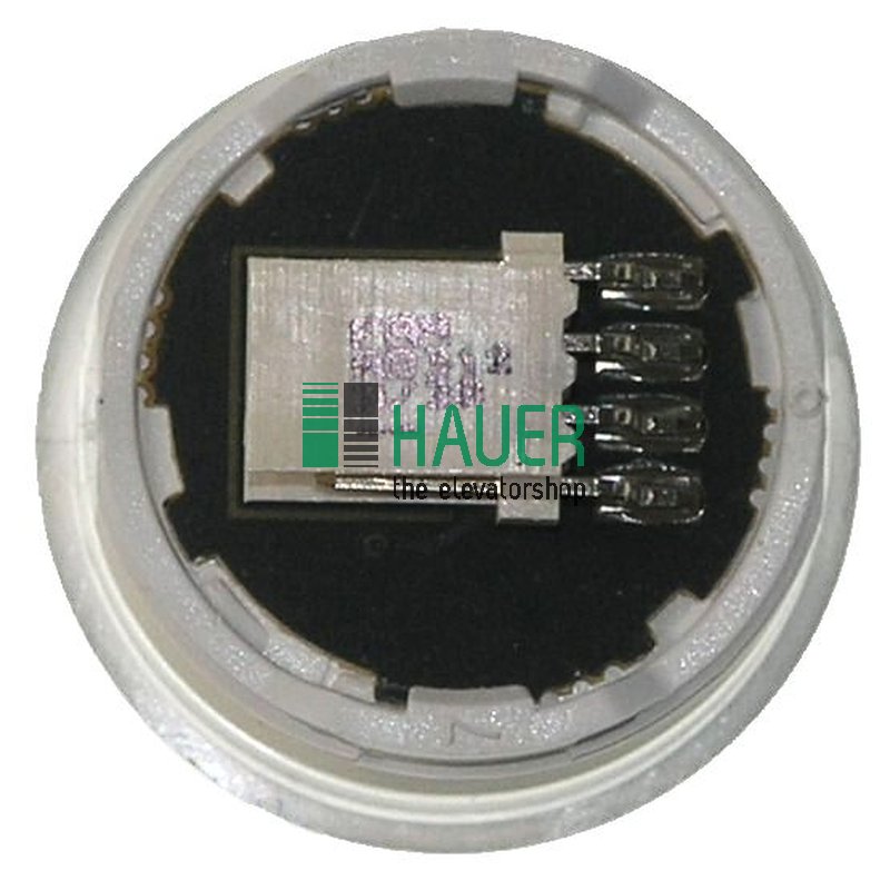 Bouton illumine vert fini inox brosse (MCS)
