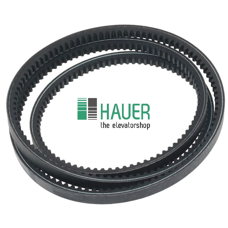 Belt AX65 Linea Gold, AX 13x1692 Lw/Ld