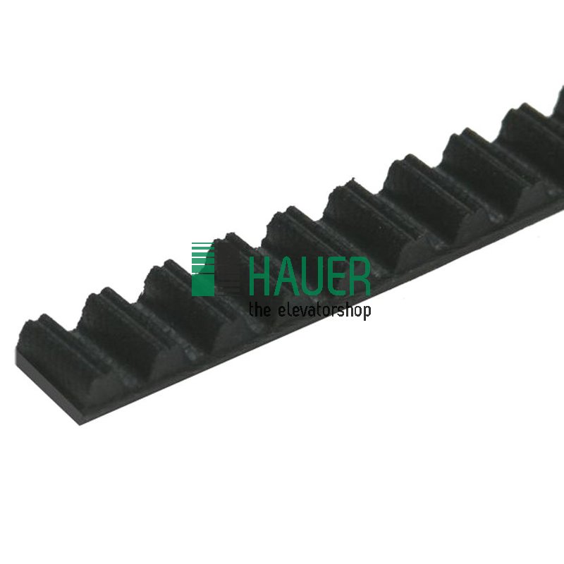 Courroie dentée Typ RPP8M/12 avec profil parabolique, LL=4445mm