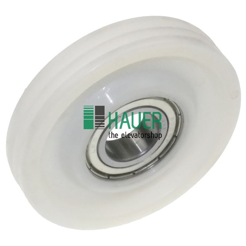 Polea de cuerda D84