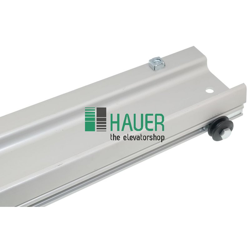 Schachttür T82/TB11,  Türführung links  TB=1100 mm