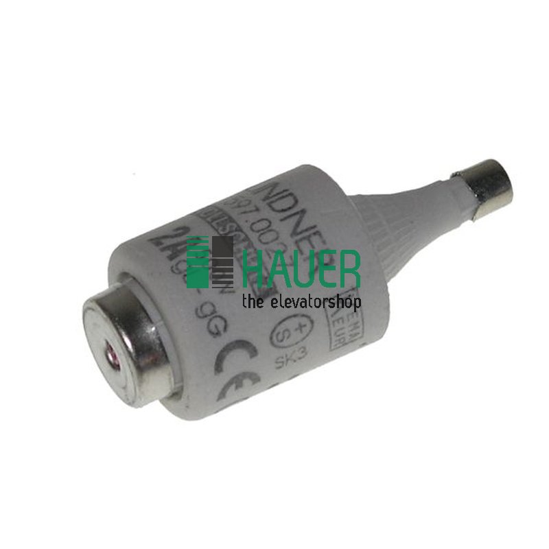 Sicherungseinsatz D E27 2 500