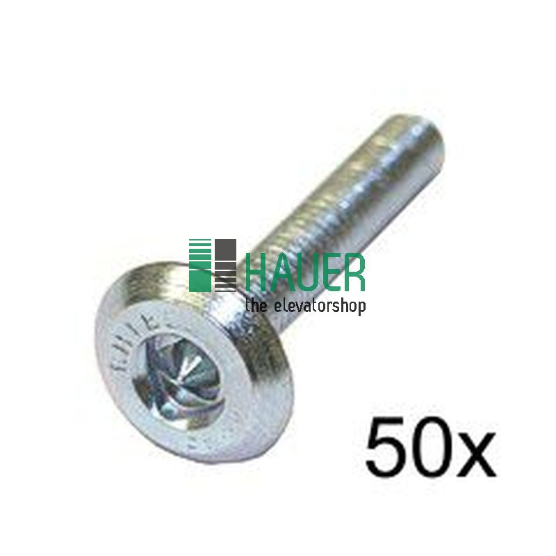 Shield Schraube M4x25 Set = 50 Stück