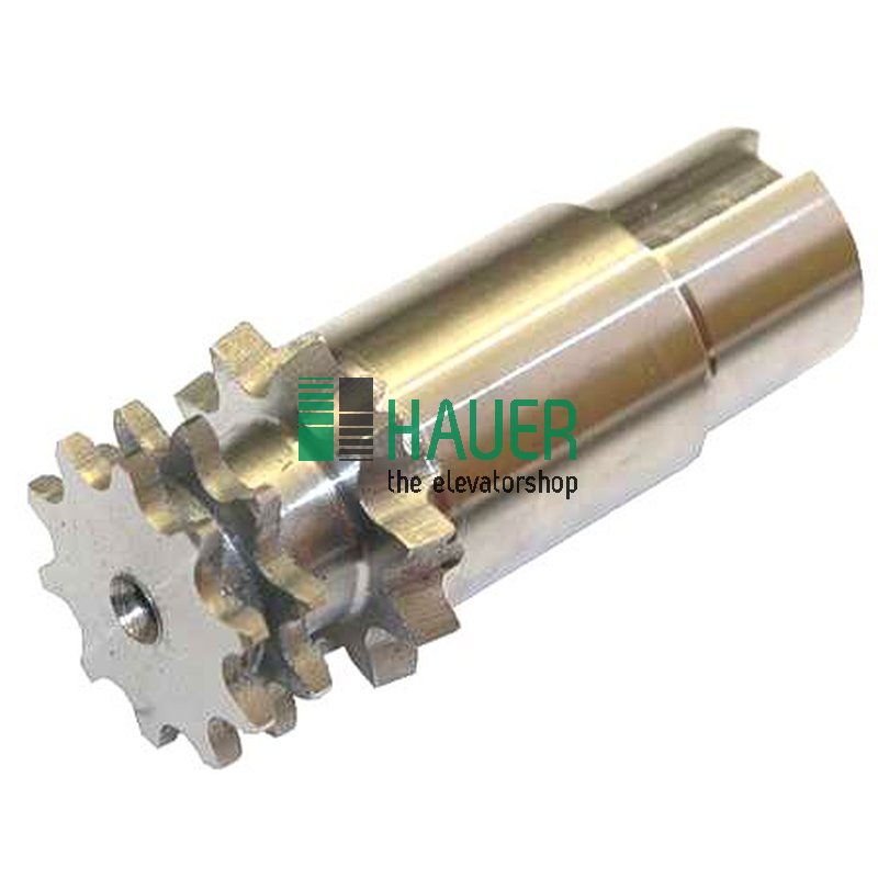 Kabinentürantrieb OAK45, Welle mit Doppelritzel
