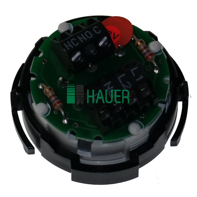 RT42 2M, XI Case V2A pol., 12V rojo, 1NO+1NC, Placa mate, Engr.Alarma