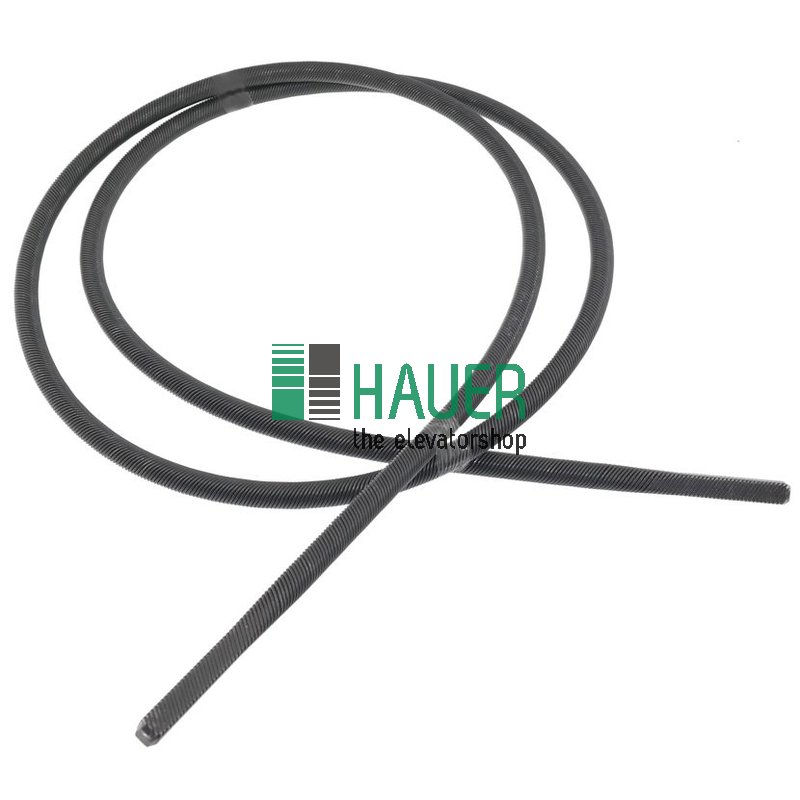 Flexible Torsionsachse