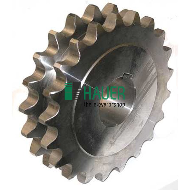 9300, Ritzel (doppelt) Z=21 für Welle 65 mm