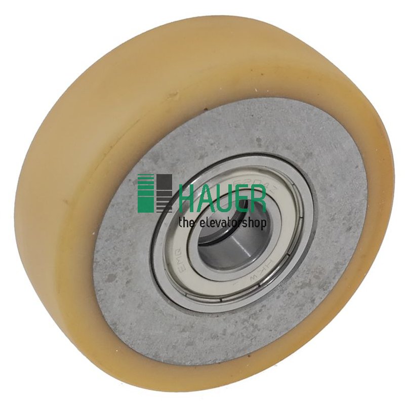 Galet VSL 100/20*30 vu 93, 2 coussinet