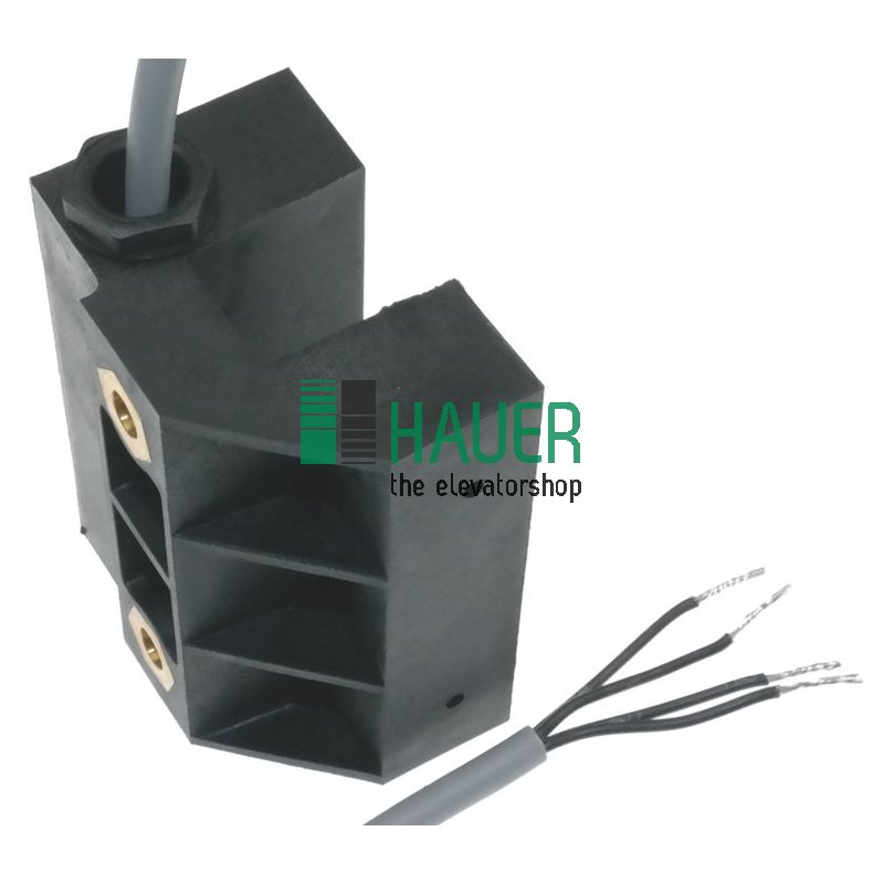 BFZ, Induktionsschalter DMS200R412  1NO + 1 NC, 220V AC/1A/100VA (1m Kabel)