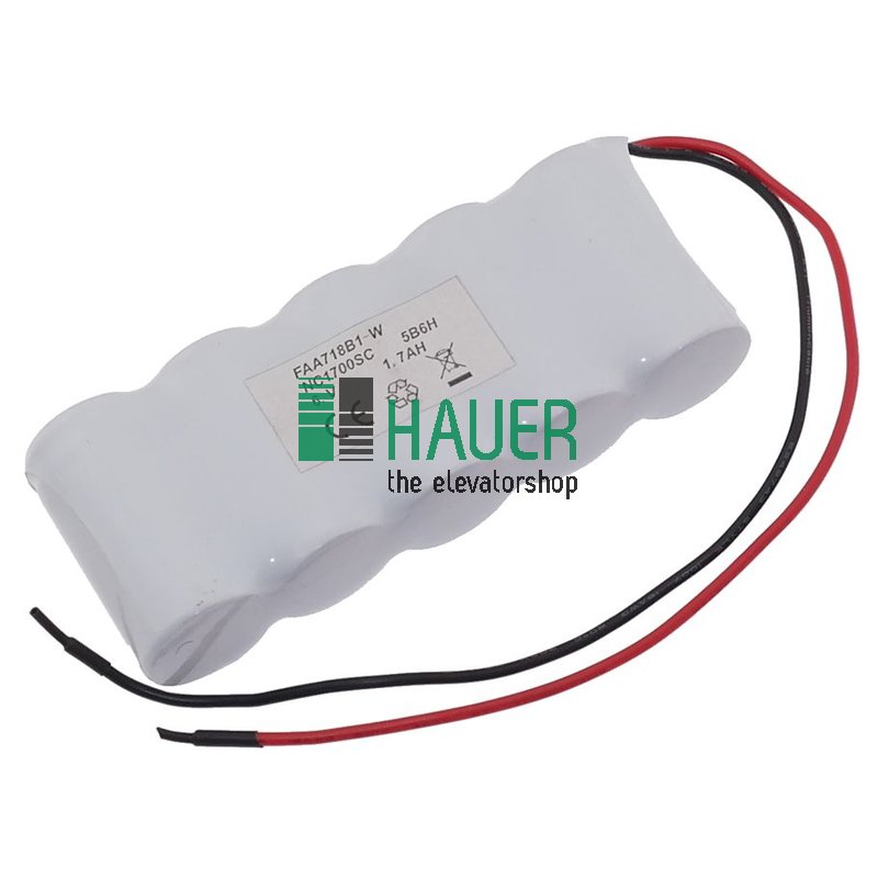 Notstromgerät Typ ECU2, Batterie 6V Akku