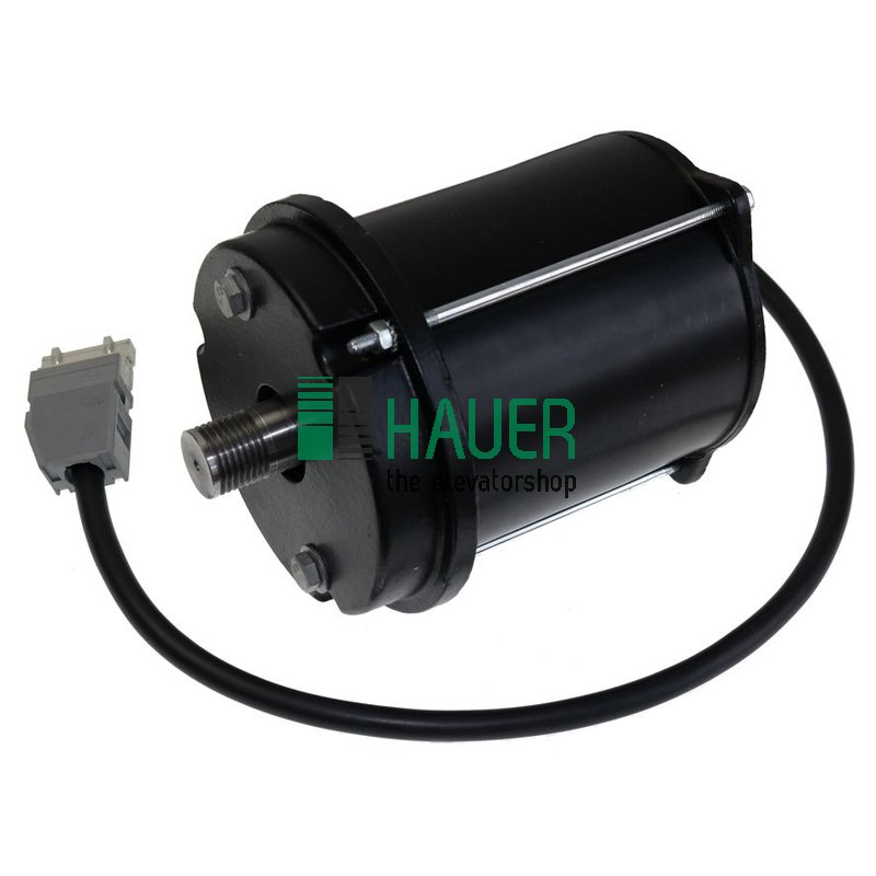 Door motor for door drive hsds, 200W, with flat plug