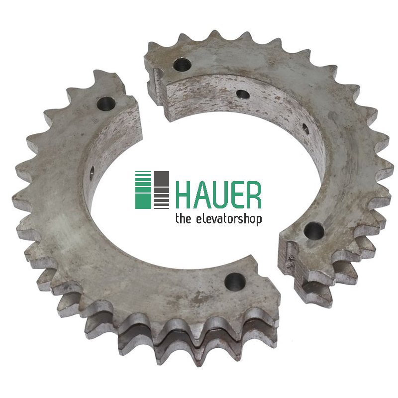 Kettenrad 2-teilig Z=30 T01Z Duplex für RSE + SWE