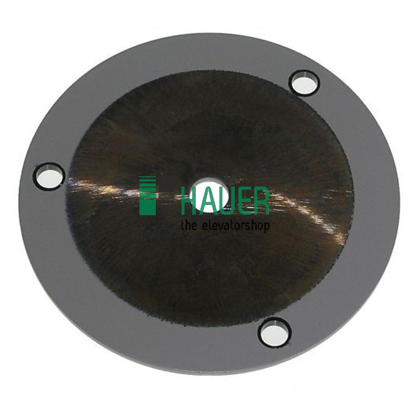 Bremsplatte M100/M200