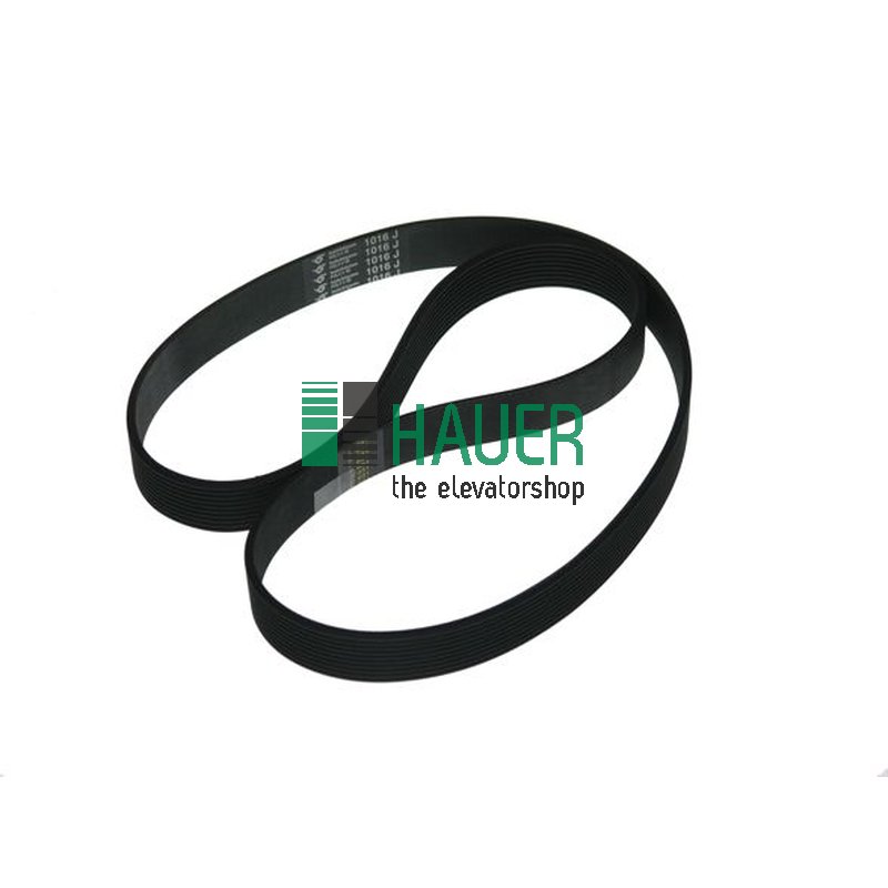 Door belt 10 ribs, PV 10 PJ 1016