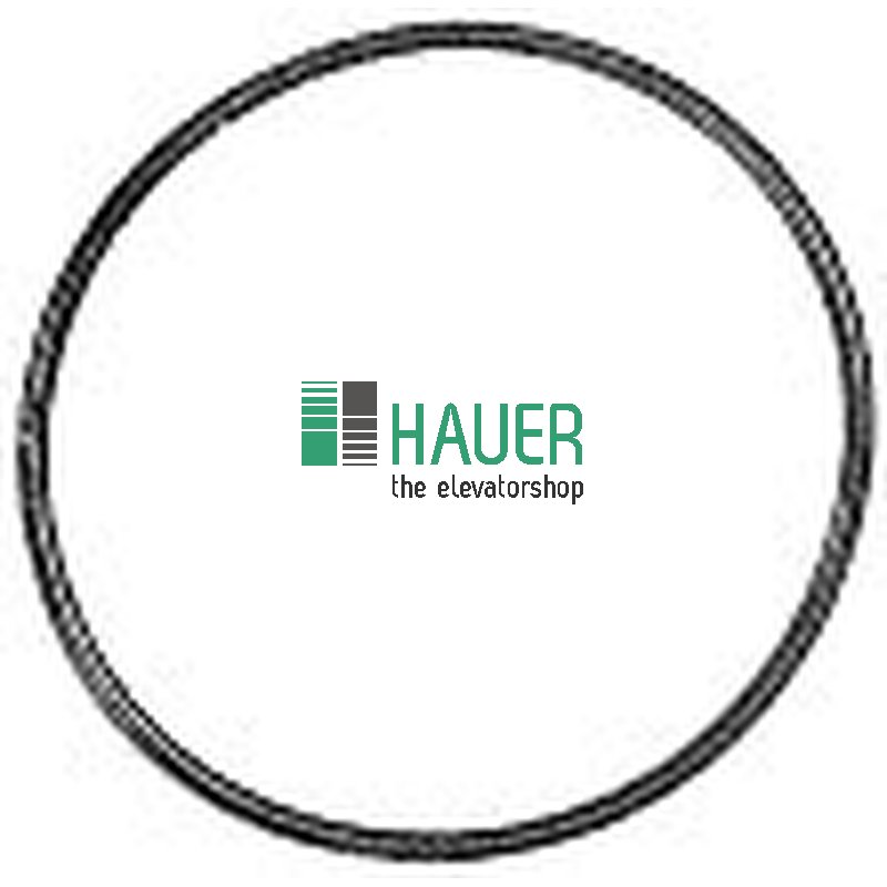 O-Ring 110*5,3 (für W54 - 58) NR. 51