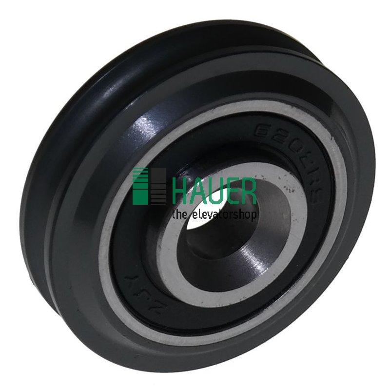 Door rope pulley