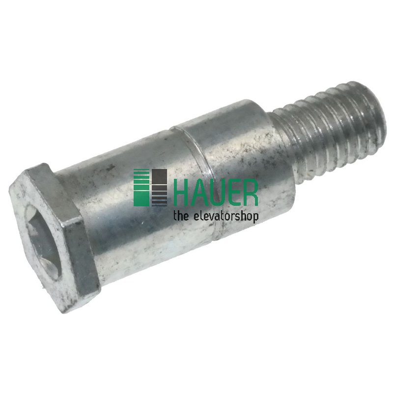 Bolzen D40 SKT 17x44 mm