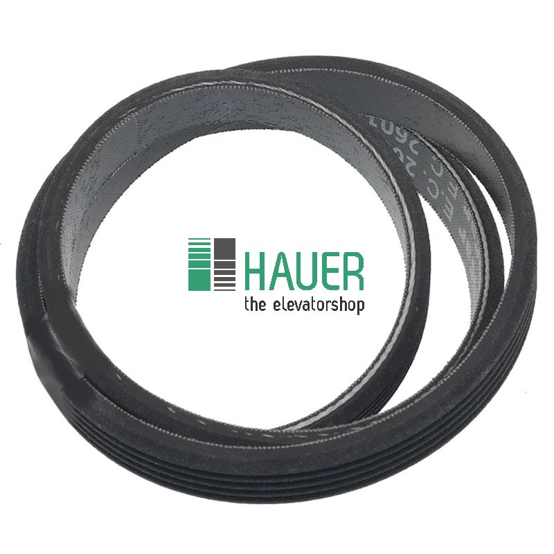 Belt, L=660, typ PJ660J10