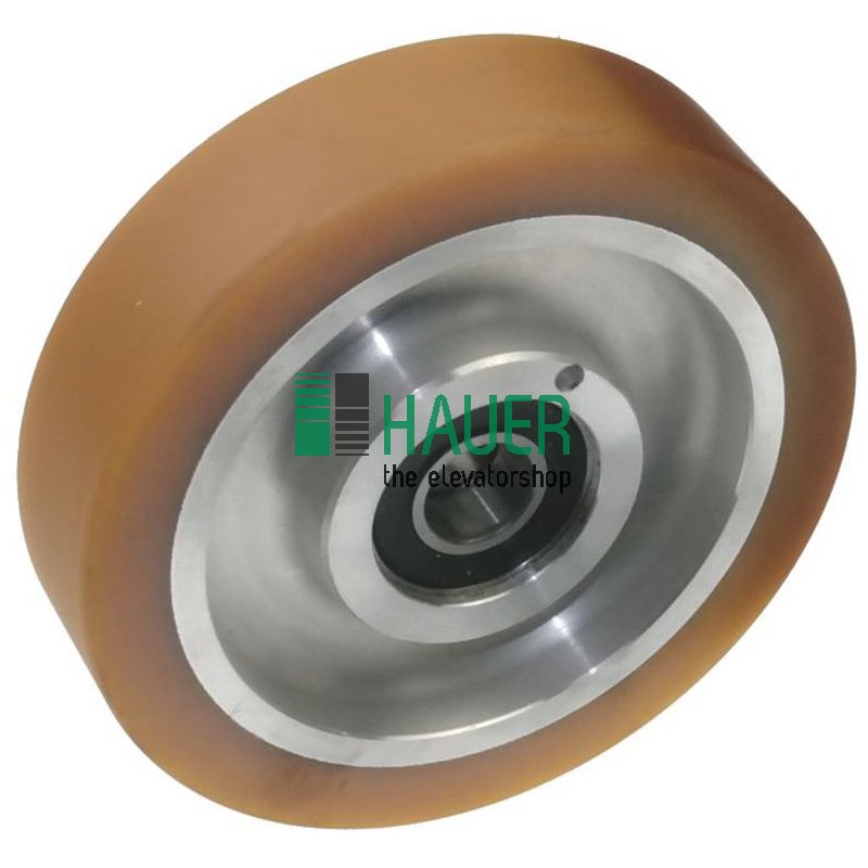 Guide roller  D125, 2 bearings, dist.=24mm
