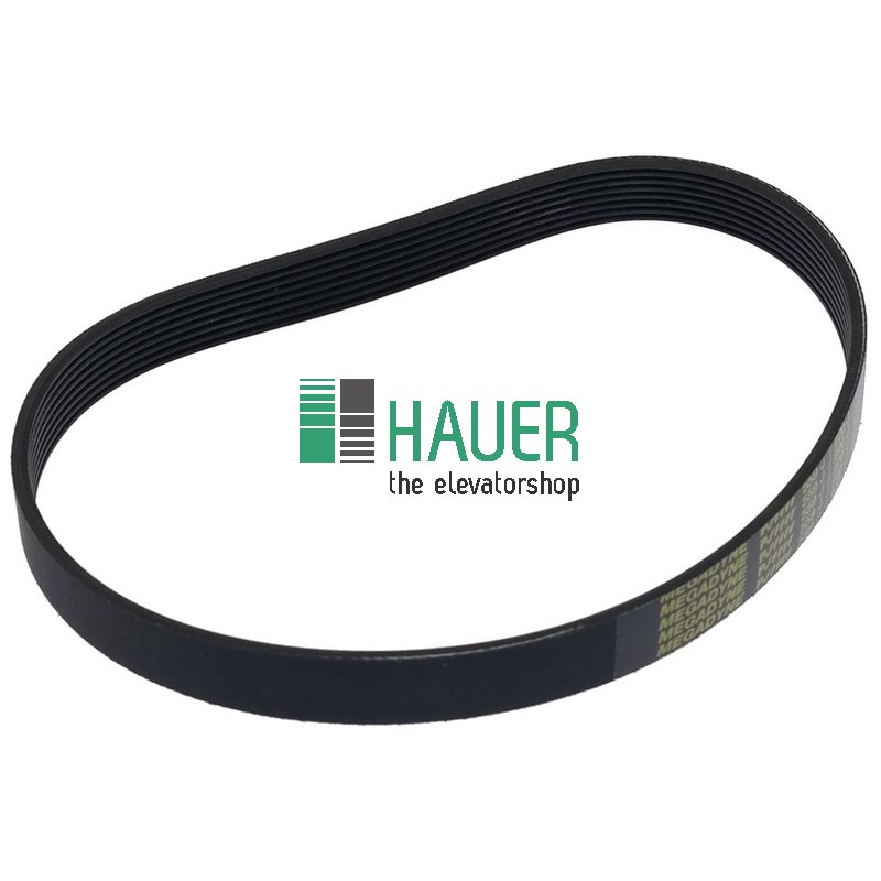Ripped belt 8 PJ559, for door operator F9