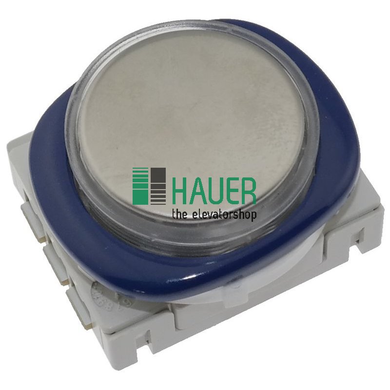 Bouton poussoir Type BFBV6B4MD, 24V, V2A, bleu, vierge