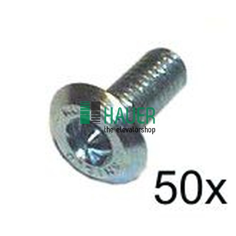 Shield Schraube M5*12   (Set=50)