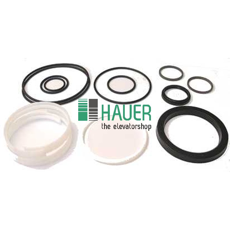 Garniture pour piston 100/40
