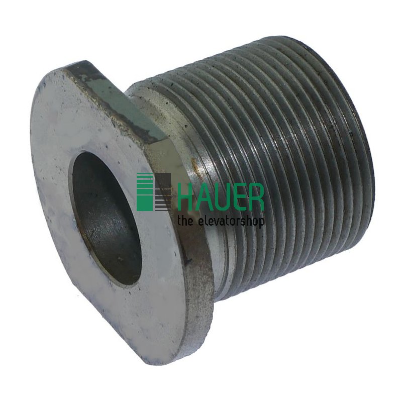 Adjustion screw for car guide shoe