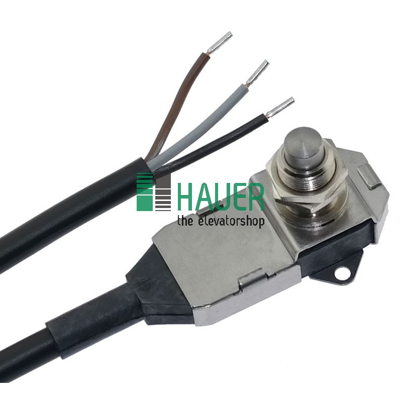 Microschalter (M1S6600-11-K-Y)