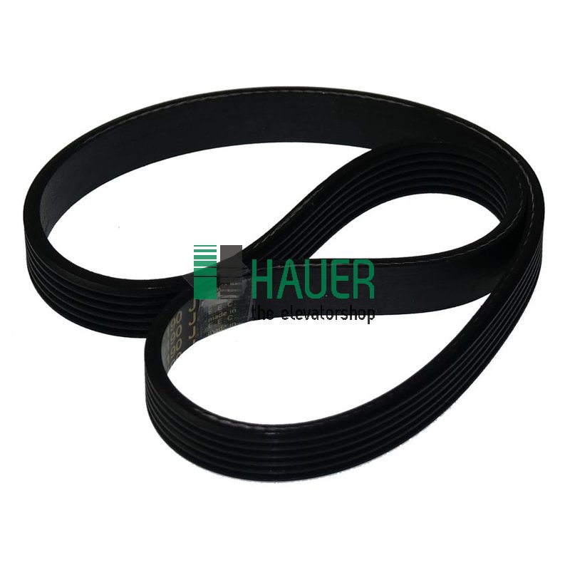 Poly-V belt