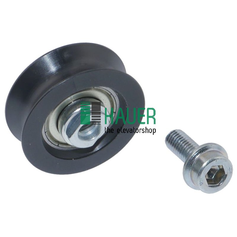 MP, Rolle 33x12mm, Set=5 St.