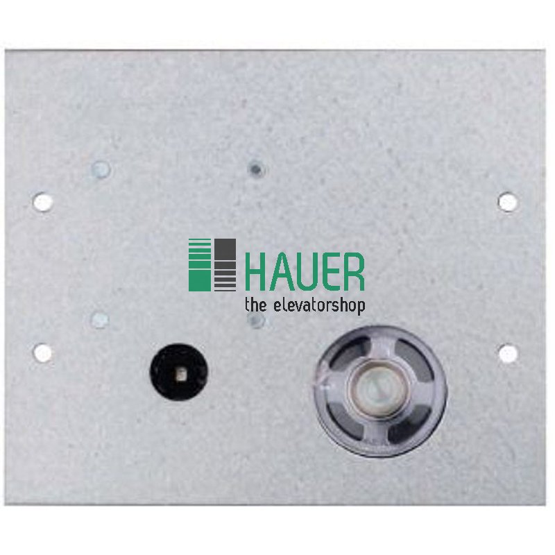 Safe Line, SL6-Kabinensprechstelle COP,Mikrofon u. Lautsprecher getrennt, 12VDC
