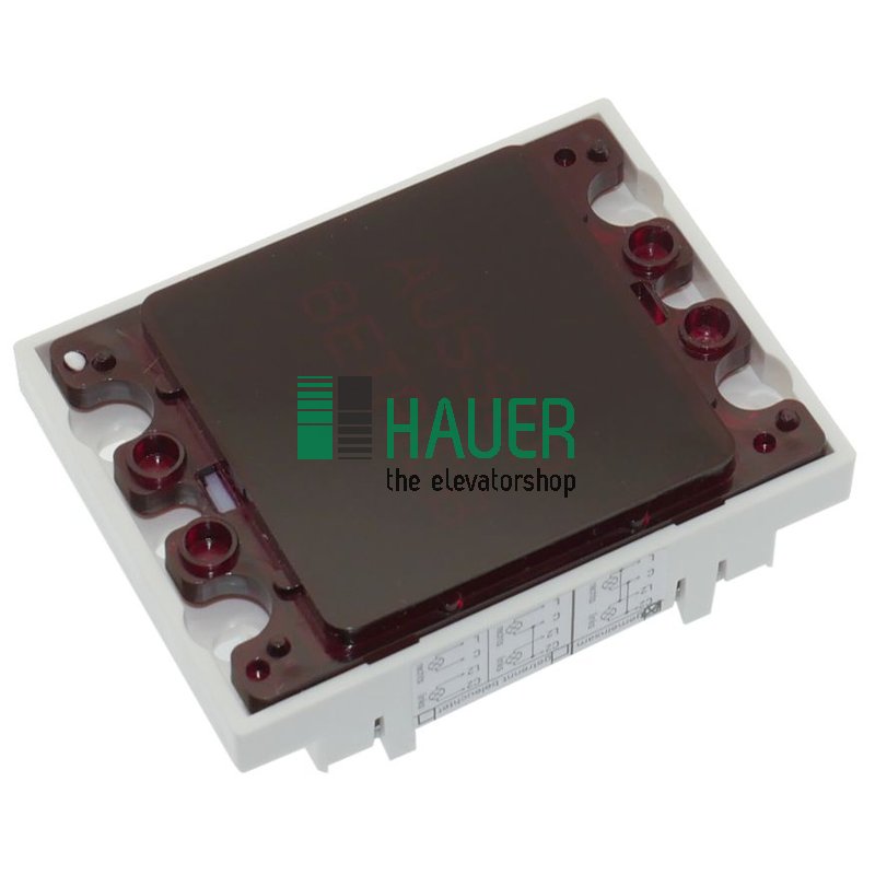 Campo luminoso, LF4848 LED, rojo, clase 0, LED 24-30V, grabado, 1
