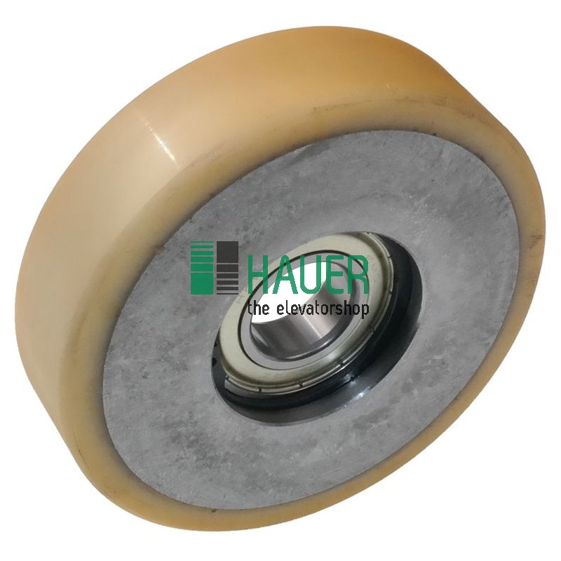Galet D120/25*30  vu 93