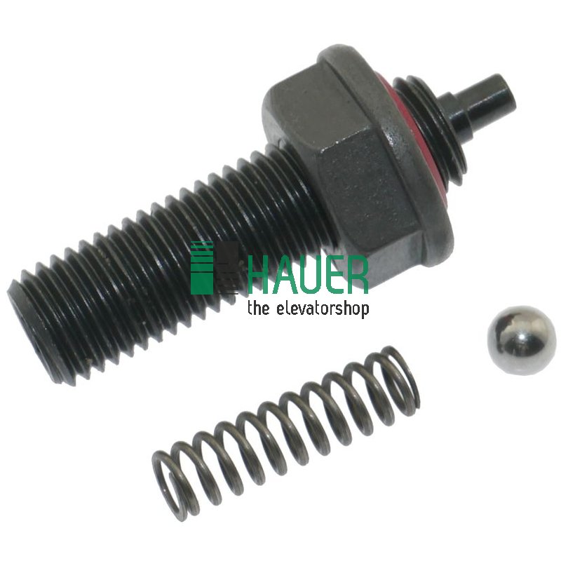 Hydronic 300, Schraube DV2 mit Dichtung
