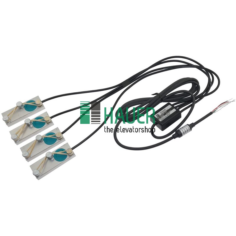 SW-Gamma 2/4, Lastmesssensor