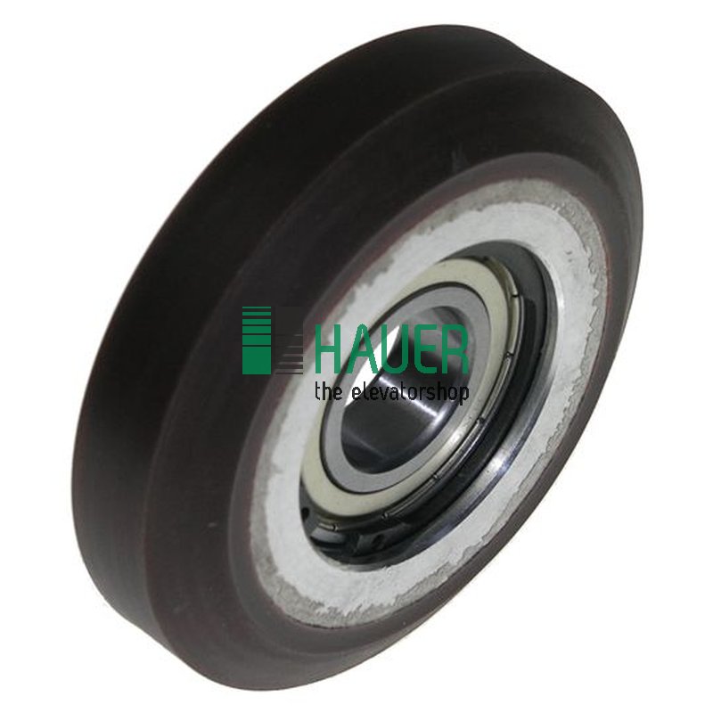 R3/R6 Guide roller D100