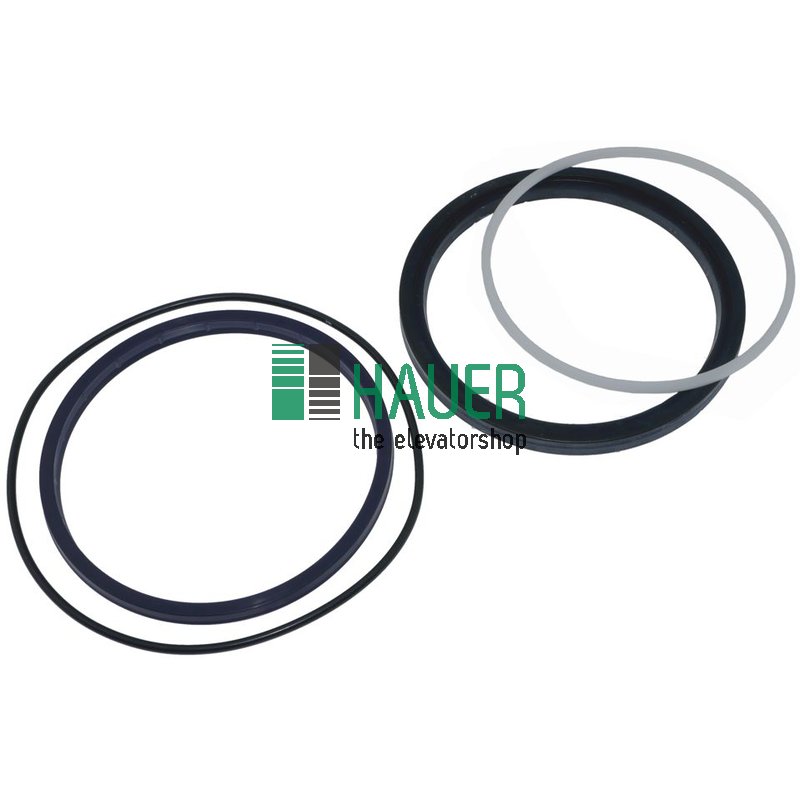 Dichtsatz für Zylinder C97D120